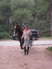 San Antoni Cala Ratjada_52