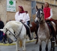 San Antoni Capdepera_31