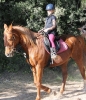 Karneval_32