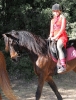 Karneval_33