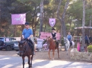 Troubada Arta_8