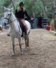 3. Bonanza Rallye