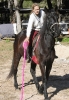 4. Bonanza Rallye