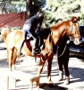 4. Bonanza Rallye