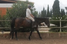 Galopes Prüfung_1
