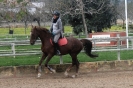 Galopes Prüfung_4