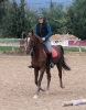 Galopes Prüfung