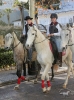 San Antoni Cala Ratjada_18