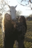 Fotoshooting mit Alex und Sandra_14