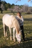 Fotoshooting mit Alex und Sandra_24