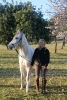 Fotoshooting mit Alex und Sandra_9