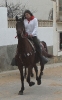 San Antoni Cala Ratjada_14