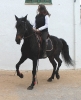 San Antoni Cala Ratjada_15