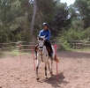 Bonanza Rallye Training