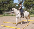 Bonanza Rallye Training