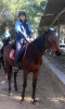 Tibi_7