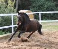 Chira