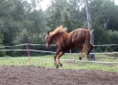 IIIIeeh ne Spinne !!!!