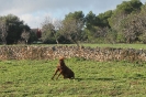 ISitz im Gras