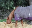 Mit Regendecke