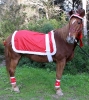 zu Weihnachten