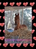 Happy Valentine
