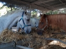 Treffen im Rancho zum Essen