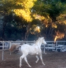 Flori_12