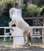Flori_7