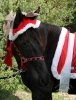 Weihnachtselch