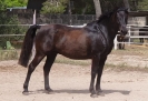 Granjero